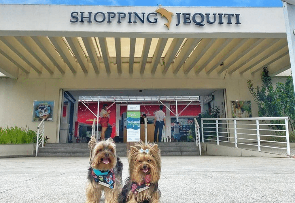 Shopping no Guarujá: onde ficam e como chegar?